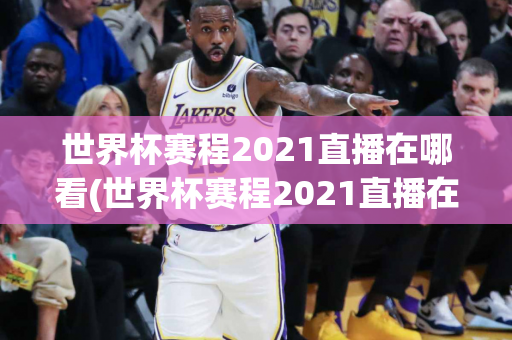 世界杯赛程2021直播在哪看(世界杯赛程2021直播在哪看啊)