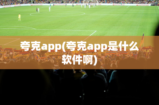 夸克app(夸克app是什么软件啊)