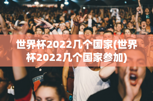 世界杯2022几个国家(世界杯2022几个国家参加)