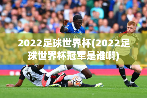 2022足球世界杯(2022足球世界杯冠军是谁啊)