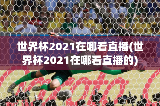 世界杯2021在哪看直播(世界杯2021在哪看直播的)