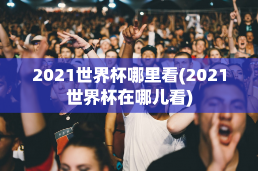 2021世界杯哪里看(2021世界杯在哪儿看)