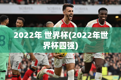 2022年 世界杯(2022年世界杯四强)