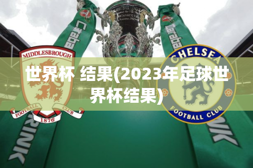 世界杯 结果(2023年足球世界杯结果)