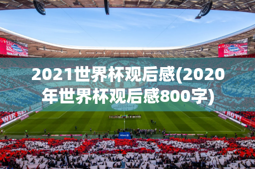 2021世界杯观后感(2020年世界杯观后感800字)