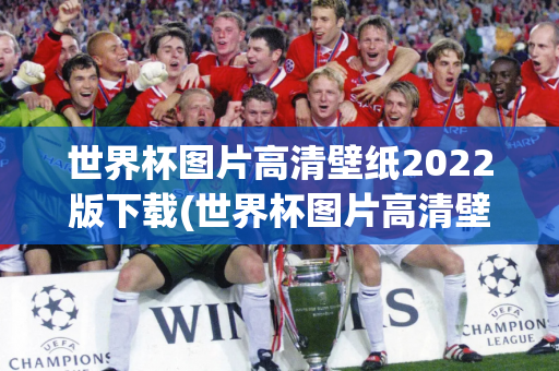 世界杯图片高清壁纸2022版下载(世界杯图片高清壁纸2022版下载安装)