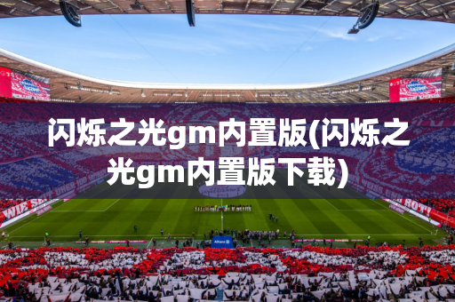 闪烁之光gm内置版(闪烁之光gm内置版下载)