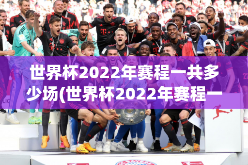 世界杯2022年赛程一共多少场(世界杯2022年赛程一共多少场比赛)