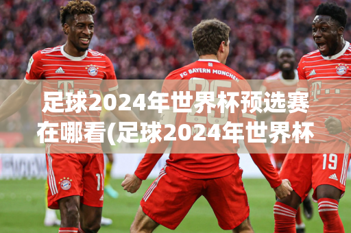 足球2024年世界杯预选赛在哪看(足球2024年世界杯预选赛在哪看比赛)