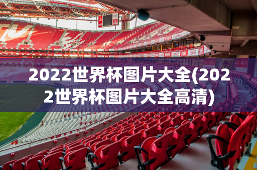 2022世界杯图片大全(2022世界杯图片大全高清)