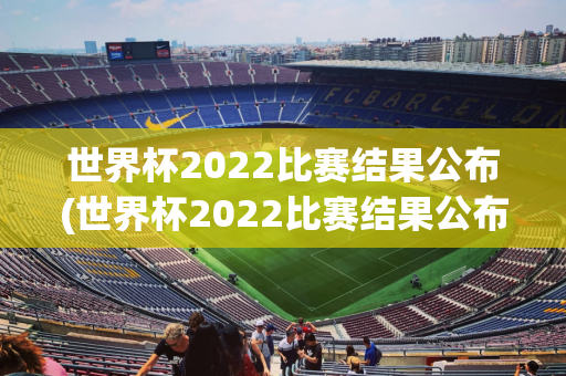 世界杯2022比赛结果公布(世界杯2022比赛结果公布时间)