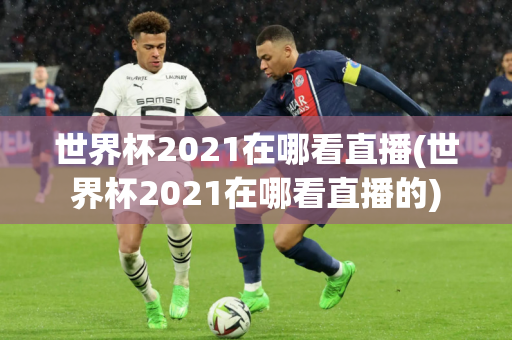 世界杯2021在哪看直播(世界杯2021在哪看直播的)