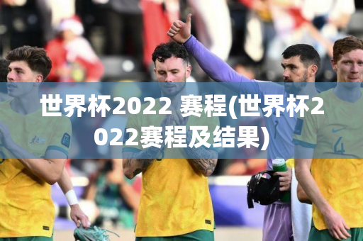 世界杯2022 赛程(世界杯2022赛程及结果)