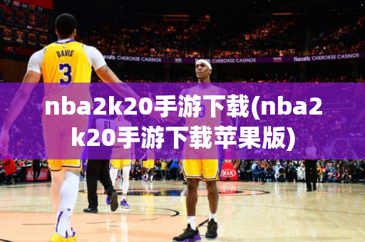 nba2k20手游下载(nba2k20手游下载苹果版)