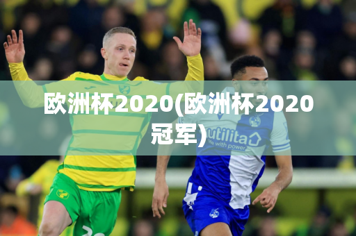 欧洲杯2020(欧洲杯2020冠军)