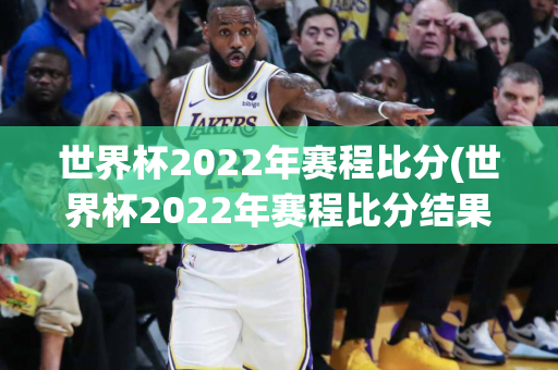 世界杯2022年赛程比分(世界杯2022年赛程比分结果)