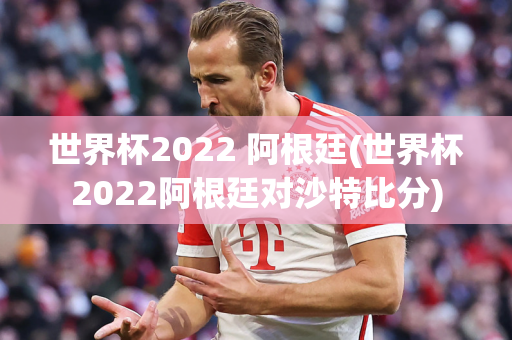 世界杯2022 阿根廷(世界杯2022阿根廷对沙特比分)