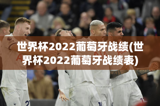 世界杯2022葡萄牙战绩(世界杯2022葡萄牙战绩表)