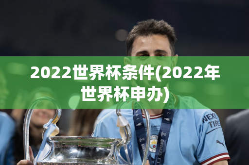 2022世界杯条件(2022年世界杯申办)