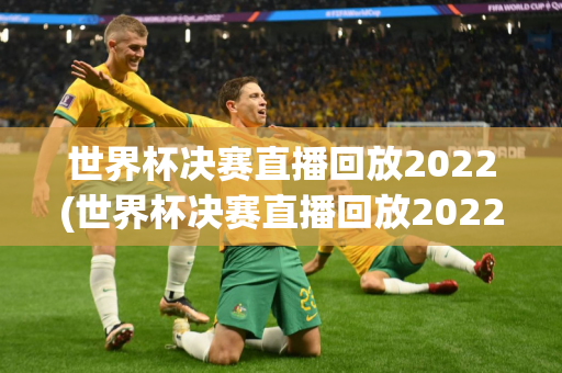 世界杯决赛直播回放2022(世界杯决赛直播回放2022年)