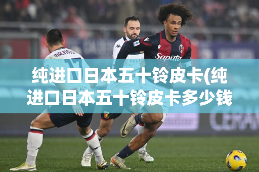 纯进口日本五十铃皮卡(纯进口日本五十铃皮卡多少钱)