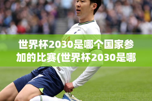 世界杯2030是哪个国家参加的比赛(世界杯2030是哪个国家参加的比赛啊)