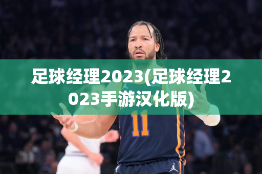 足球经理2023(足球经理2023手游汉化版)