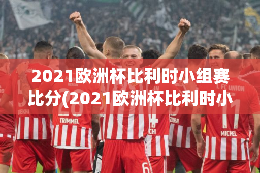 2021欧洲杯比利时小组赛比分(2021欧洲杯比利时小组赛比分结果)