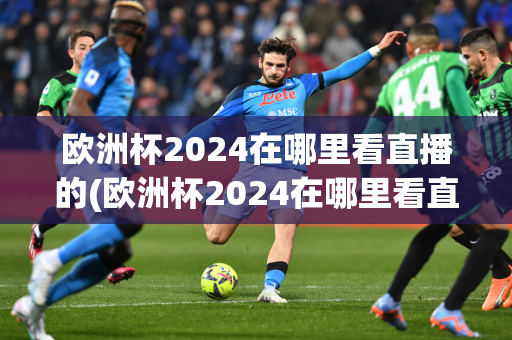 欧洲杯2024在哪里看直播的(欧洲杯2024在哪里看直播的)