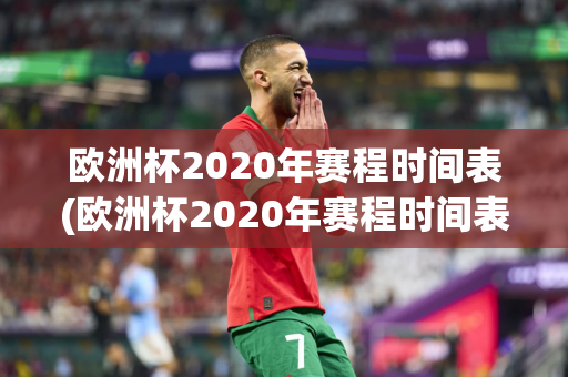 欧洲杯2020年赛程时间表(欧洲杯2020年赛程时间表今天)