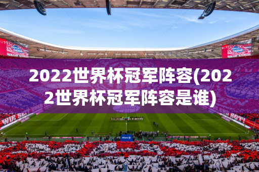 2022世界杯冠军阵容(2022世界杯冠军阵容是谁)