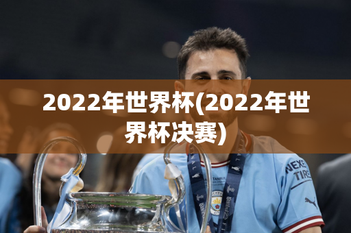 2022年世界杯(2022年世界杯决赛)