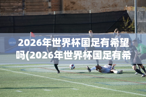 2026年世界杯国足有希望吗(2026年世界杯国足有希望吗知乎)