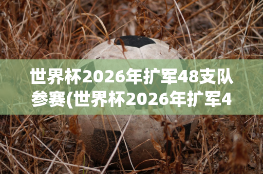 世界杯2026年扩军48支队参赛(世界杯2026年扩军48支队参赛队员)