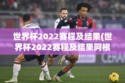 世界杯2022赛程及结果(世界杯2022赛程及结果阿根廷)