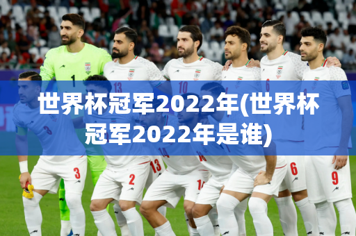 世界杯冠军2022年(世界杯冠军2022年是谁)