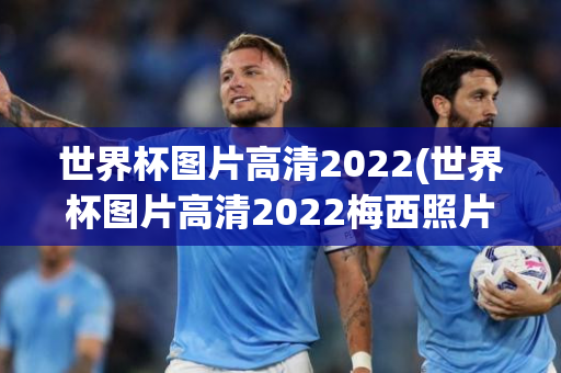 世界杯图片高清2022(世界杯图片高清2022梅西照片)