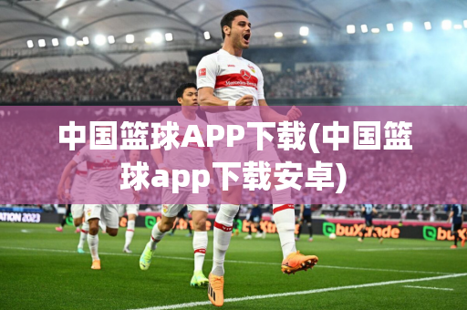 中国篮球APP下载(中国篮球app下载安卓)