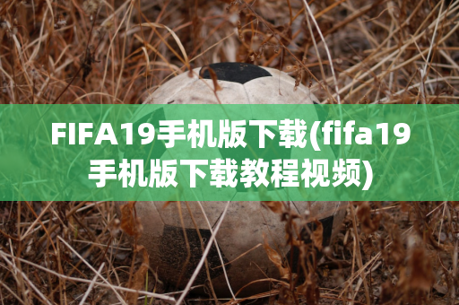 FIFA19手机版下载(fifa19手机版下载教程视频)