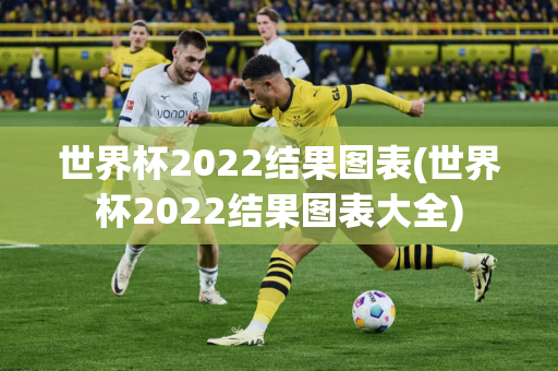 世界杯2022结果图表(世界杯2022结果图表大全)