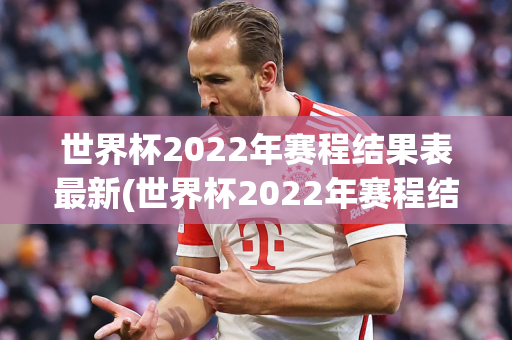 世界杯2022年赛程结果表最新(世界杯2022年赛程结果表最新消息)