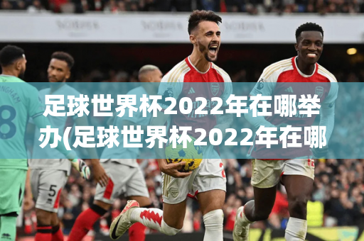 足球世界杯2022年在哪举办(足球世界杯2022年在哪举办的)