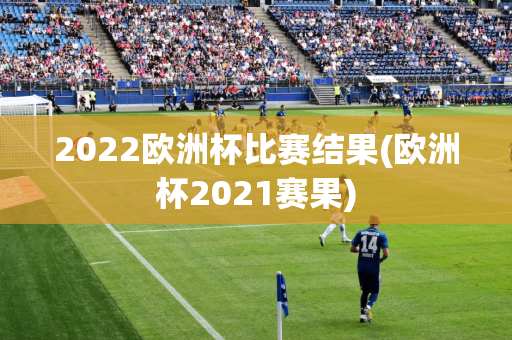 2022欧洲杯比赛结果(欧洲杯2021赛果)