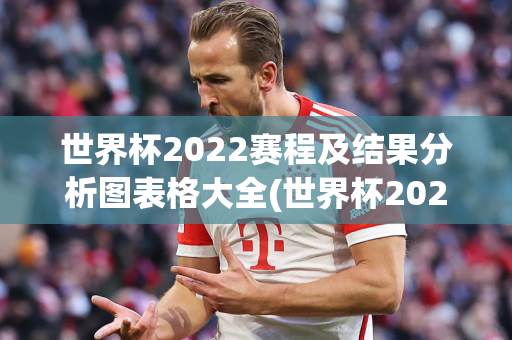 世界杯2022赛程及结果分析图表格大全(世界杯2022赛程及结果分析图表格大全图片)