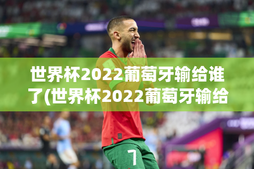 世界杯2022葡萄牙输给谁了(世界杯2022葡萄牙输给谁了啊)