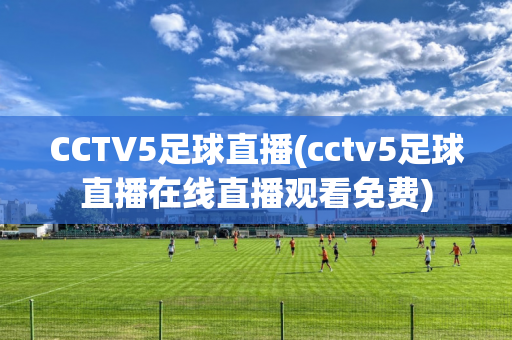 CCTV5足球直播(cctv5足球直播在线直播观看免费)