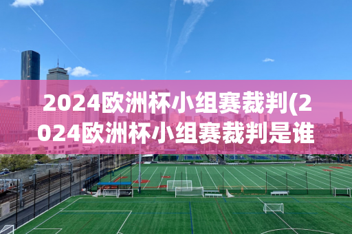 2024欧洲杯小组赛裁判(2024欧洲杯小组赛裁判是谁)