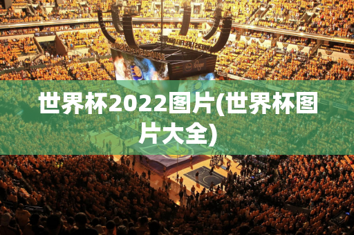 世界杯2022图片(世界杯图片大全)