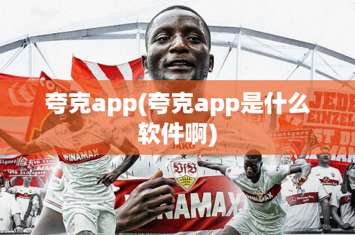 夸克app(夸克app是什么软件啊)