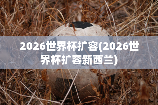 2026世界杯扩容(2026世界杯扩容新西兰)